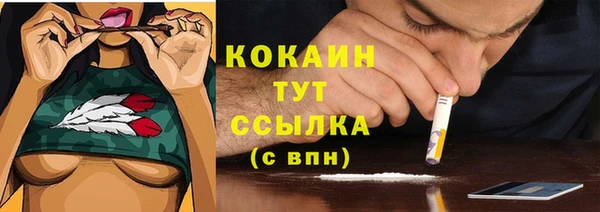 дурь Наволоки
